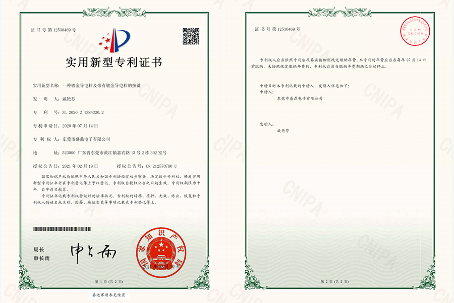 一种镀金导电粒及带有...